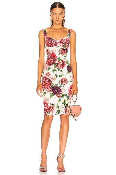 dolce gabbana peony douglas|dolce gabbana peony dress.